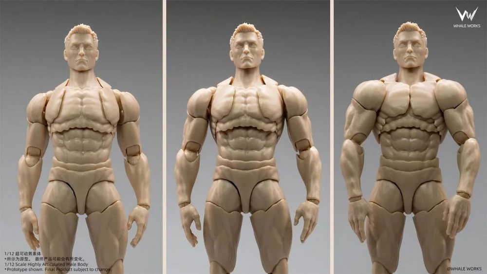 WHALE WORKS Super-Poseable Male Body - Chest Mobility