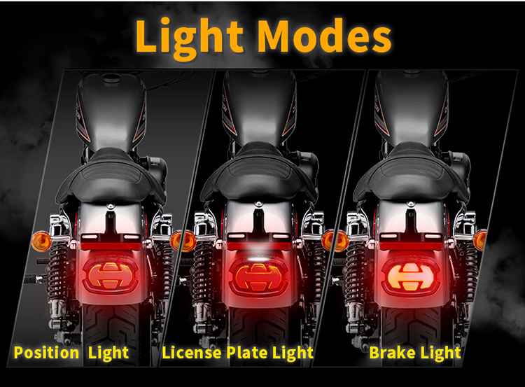 Harley Davidson Sportster Tail Light Replacement Beam Modes