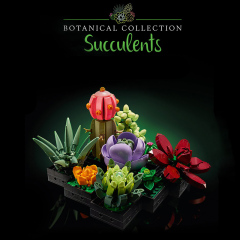 Succulents Flower Botanical Collection Creator Expert 10309