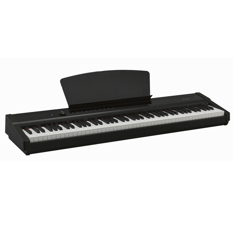 P-20: Light Portable Digital Piano with Touch Screen & Weighted 88 Keys | Best Seller
