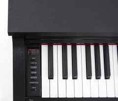 DK-390: Upright Digital Piano Professional, 88 Keyboard, 192 Polyphony, Factory Supply