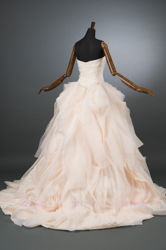 Light Chamapgne Organza Wedding Dress Bridal Dress