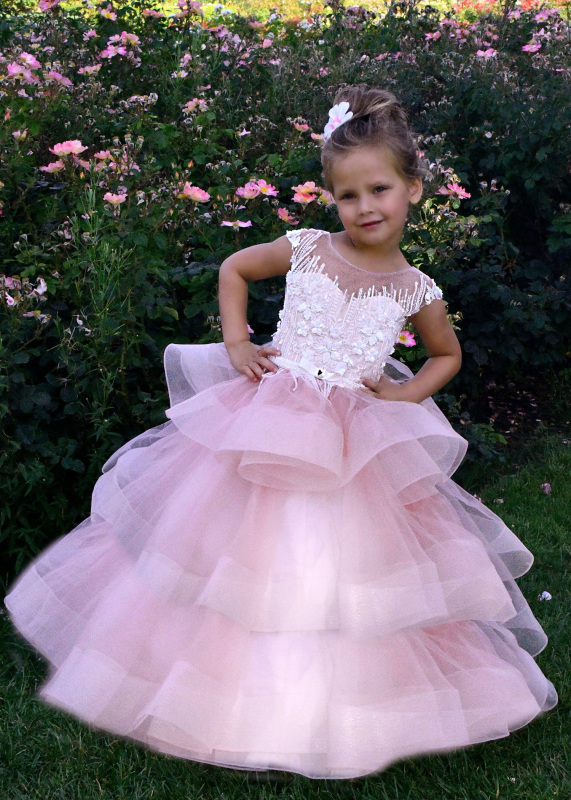 Mauve Lace Tulle  Cupcake Girls Party Dress Holiday Dress