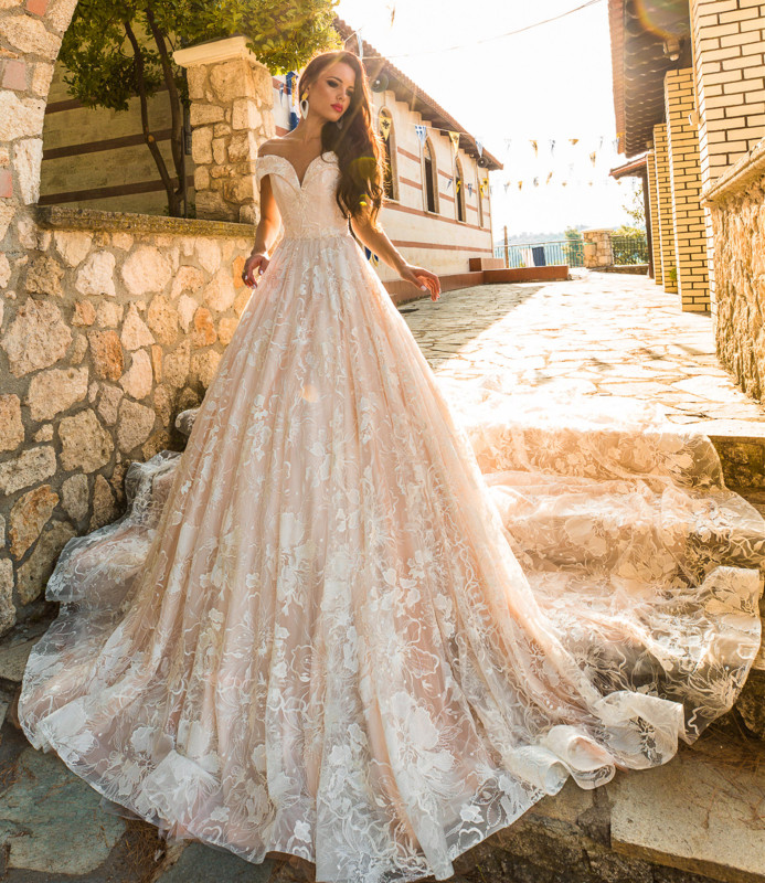 Champagne Lace Tulle Long Train Wedding Dress Bridal Gown