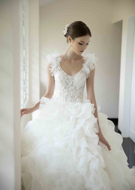 V Neck Ivory Lace Organza Luxury Wedding Dress