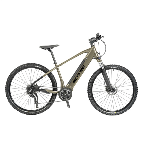 29'' Electric mountain bike