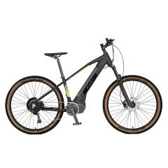 29'' Electric mountain bike