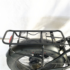 20'' Electric folding bike
