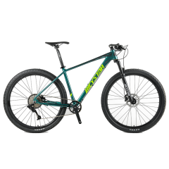 29'' Mountain Bike