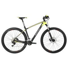 29'' Mountain Bike