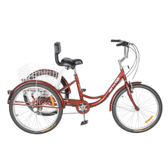 24'' Adult bike