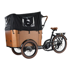 20'' Electric cargo bike HH2