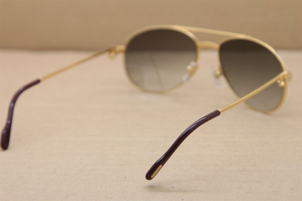 CT Men luxury brand Hot Sunglasses Metal 1185210 Sunglasses in Gold Mix Silver Brown Lens