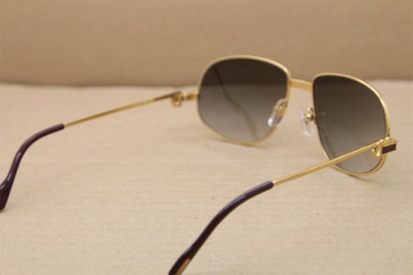 CT Hot Sunglasses Metal 1182503 Sunglasses in Gold Mix Wine Brown Lens