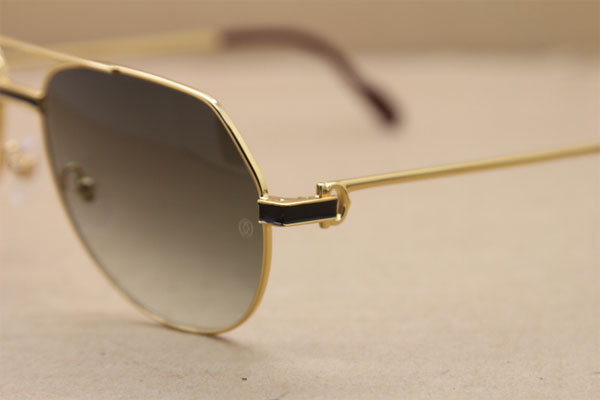 CT Hot Sunglasses Metal 1182503 Sunglasses in Gold Mix Black Brown Lens