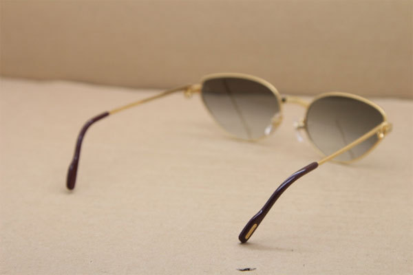 CT Men luxury brand Hot Sunglasses Metal 1185213 Sunglasses in Gold Mix Silver Brown Lens