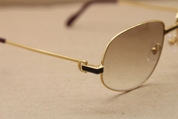 CT Hot Sunglasses Metal 1182503 Sunglasses in Gold Mix Black Brown Lens