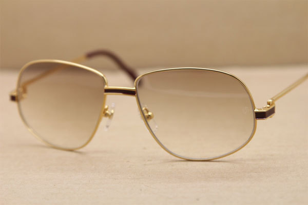 CT Hot Sunglasses Metal 1182503 Sunglasses in Gold Mix Wine Brown Lens