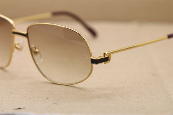 CT Hot Sunglasses Metal 1182503 Sunglasses in Gold Mix Black Brown Lens