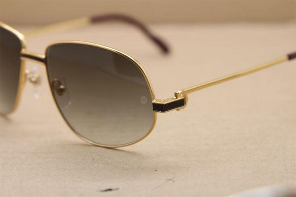 CT Hot Sunglasses Metal 1182503 Sunglasses in Gold Mix Black Brown Lens