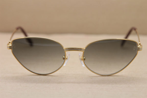 CT Men luxury brand Hot Sunglasses Metal 1185213 Sunglasses in Gold Mix Silver Brown Lens