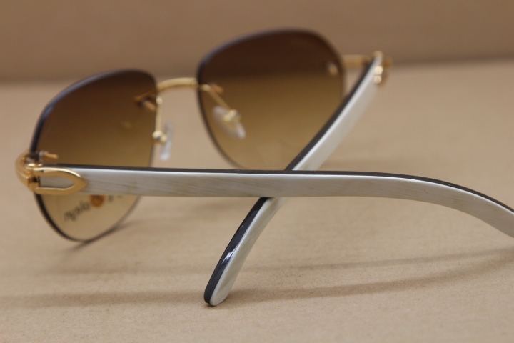 Hot inside of the arms are all black and outside of the arms of they are all white Rimless T8300829 Sunglasses