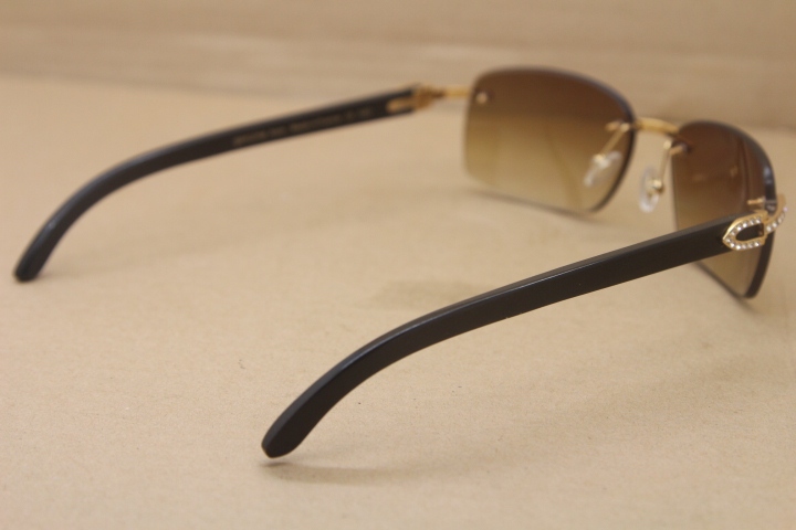 Cartier Rimless Smaller Big Stones T8200497 Black Buffalo Horn Sunglasses in Silver Brown Lens