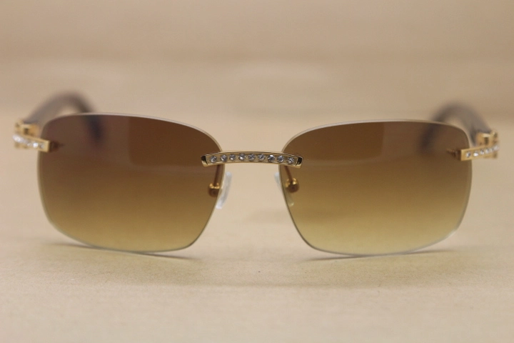 Cartier Rimless Smaller Big Stones T8200497 Black Buffalo Horn Sunglasses in Silver Brown Lens