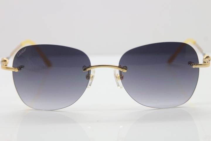 Carter CT Metal Rimless 6725358 Sunglasses in Gold Mix Silver Brown Lens New luxury brand Sunglasses