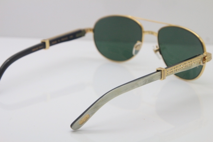 Carter CT Diamond 569 Black Mix White Genuine Natural Original Buffalo horn Sunglasses Gold Brown Lens Limited edition