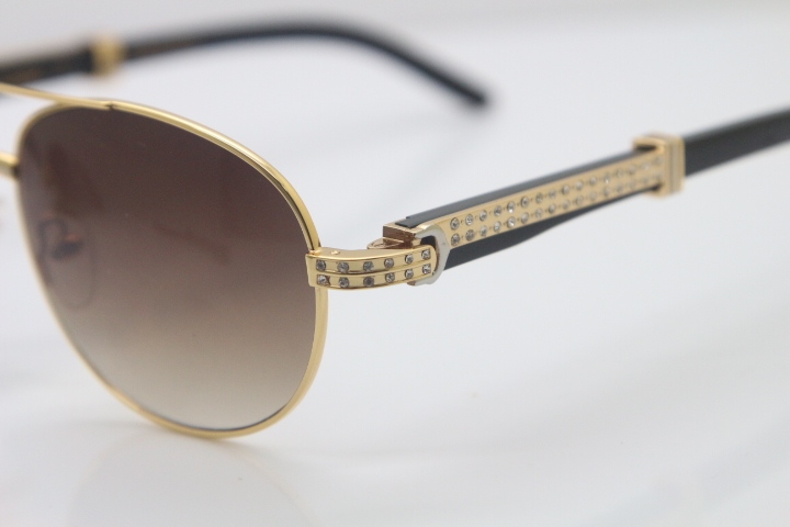 Carter CT Smaller/Big Stones 569 Genuine Natural Original Black Buffalo horn Sunglasses Gold Brown Lens