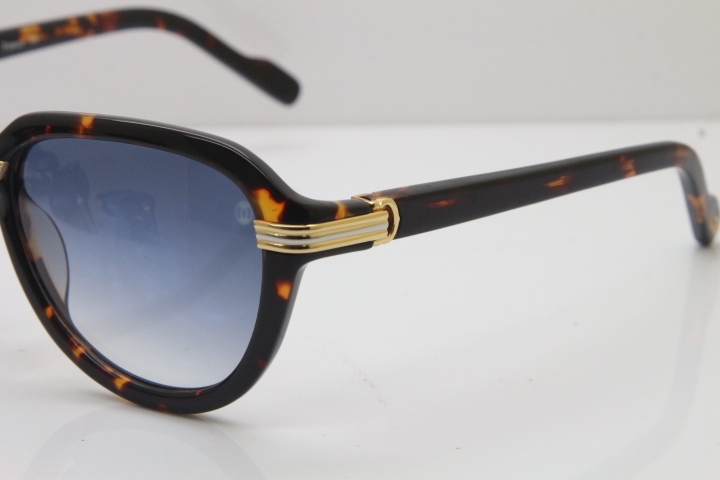 Cartier 1991 Vintage 1136125 Original Sunglasses In Tortoise Mix Gold Gray Lens