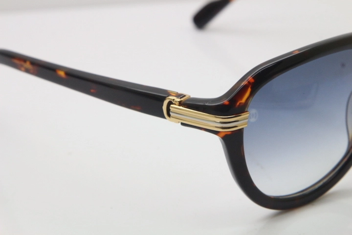 Cartier 1991 Vintage 1136125 Original Sunglasses In Tortoise Mix Gold Gray Lens