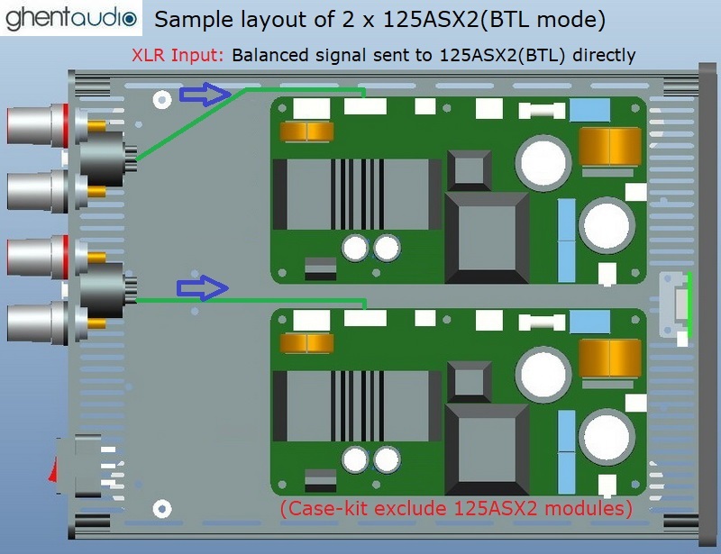(B265b-S1X) DIY Stereo Case-kit for ICEpower 2 x 125ASX2(BTL) (XLR inputs)