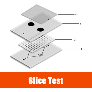 Ic Chip Slice Test