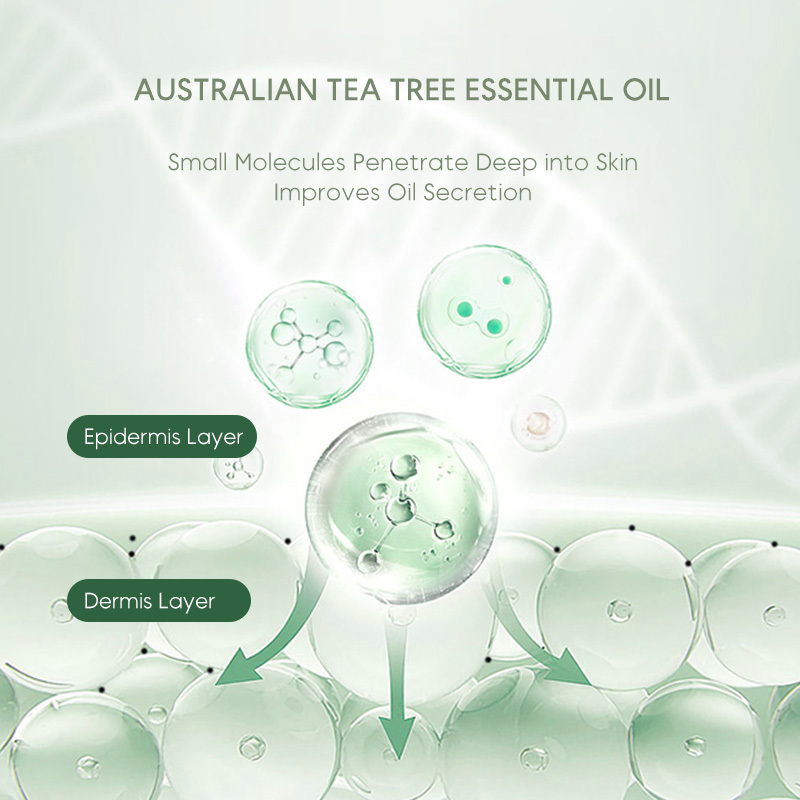 Amource Hydrating Tea Tree Skin Care Set Acne Treatment Balanced Skin for Natural Beautiful Skin