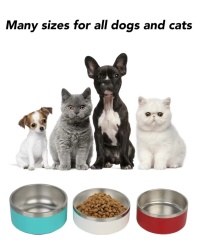 16oz 20oz 24oz 32oz 42oz 64oz 100oz Powder Coated Stainless Steel Double Walled Custom Dog Bowl