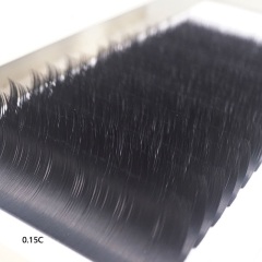 Ellipse Flat Eyelash Extensions