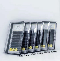 0.10C Classic Individual Eyelash extension