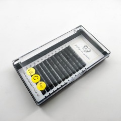 0.05C Classic Individual Eyelash extension