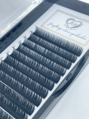 0.10C Classic Individual Eyelash extension