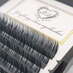 0.07D Classic Individual Eyelash extension