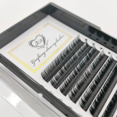 0.05C Classic Individual Eyelash extension