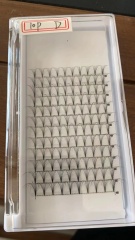 6P Premade fan Lashes