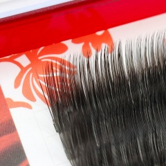 Ellipse Flat Eyelash Extensions
