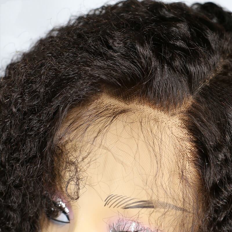 Lace Front Wig 180% Density Kinky Curly Brazilian Virgin Hair Pre Plucked With Natural Baby Hair
