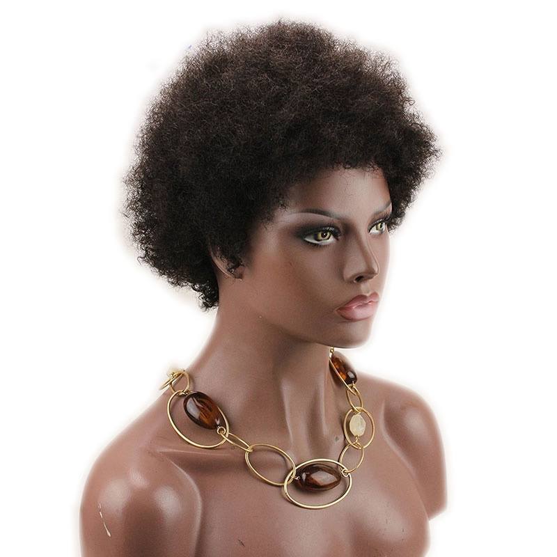 Short  Afro Kinky Curly  Wigs Human Hair Brazilian Human Hair None Lace Full Wig For Women