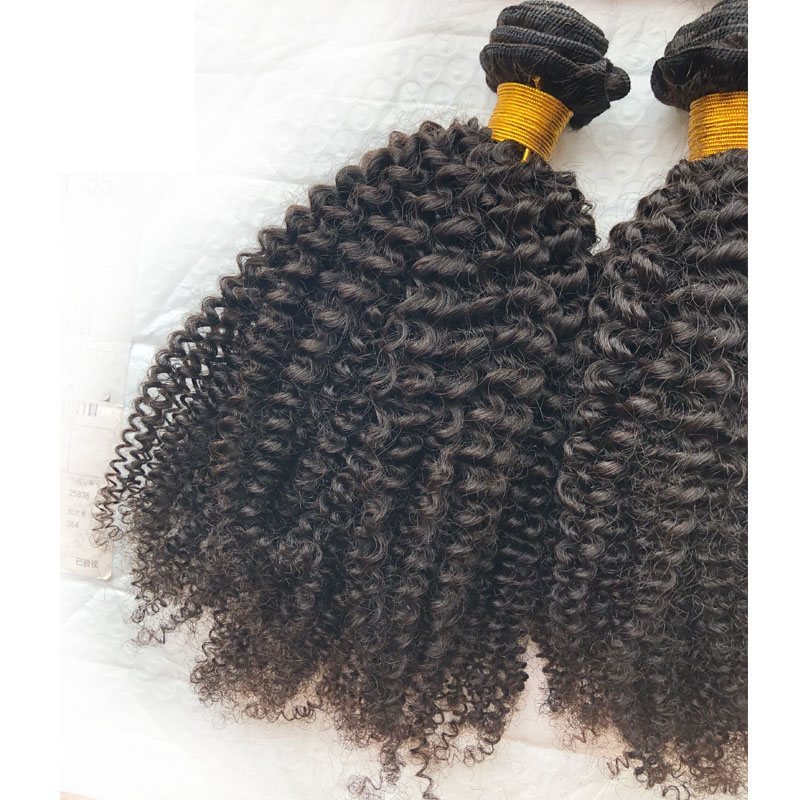 Selling 4A4B Afro Kinky Hair Extensions Top Grade 12A Human Virgin Cuticle Aligned Mongolian Kinky Curly Hair Can Be Dye