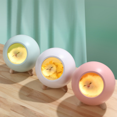 Popular Cute Little Pet House Multifunction LED Table Lamp Auto Sleep Bedside Light Rechargeable Atmosphere Light Portable Speaker