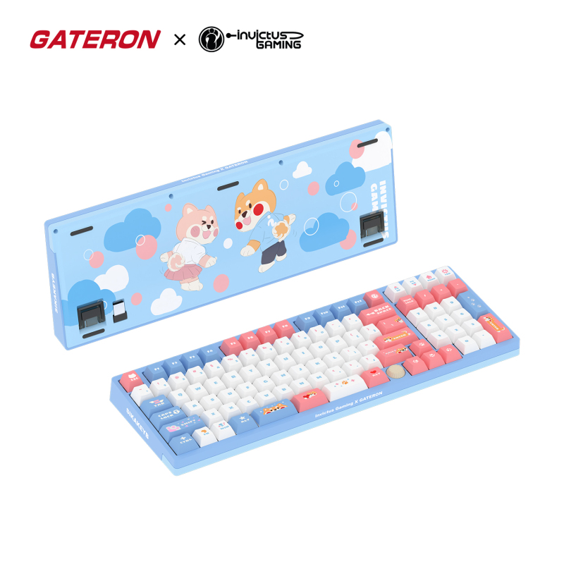 GATERON Co-branded IG 98 Mechanical Keyboard